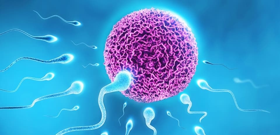 Ne Zaman Bir İnfertilite Uzmanına Başvurmalısınız?