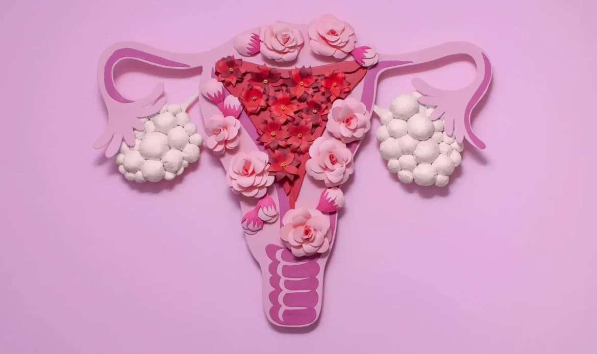 Endometriozis Nedir? Belirtileri ve Modern Tedavi Yöntemleri