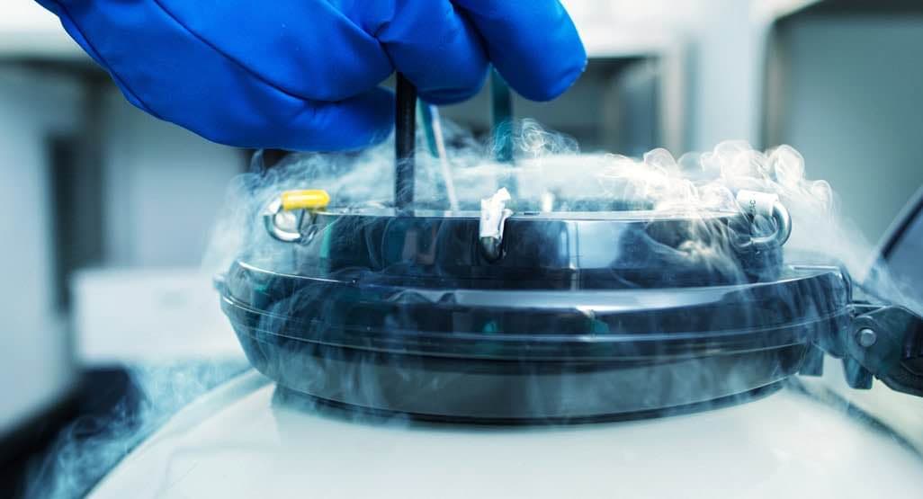 Yumurta Dondurma 2026: Fertilitenizi Korumak İçin Bilmeniz Gerekenler